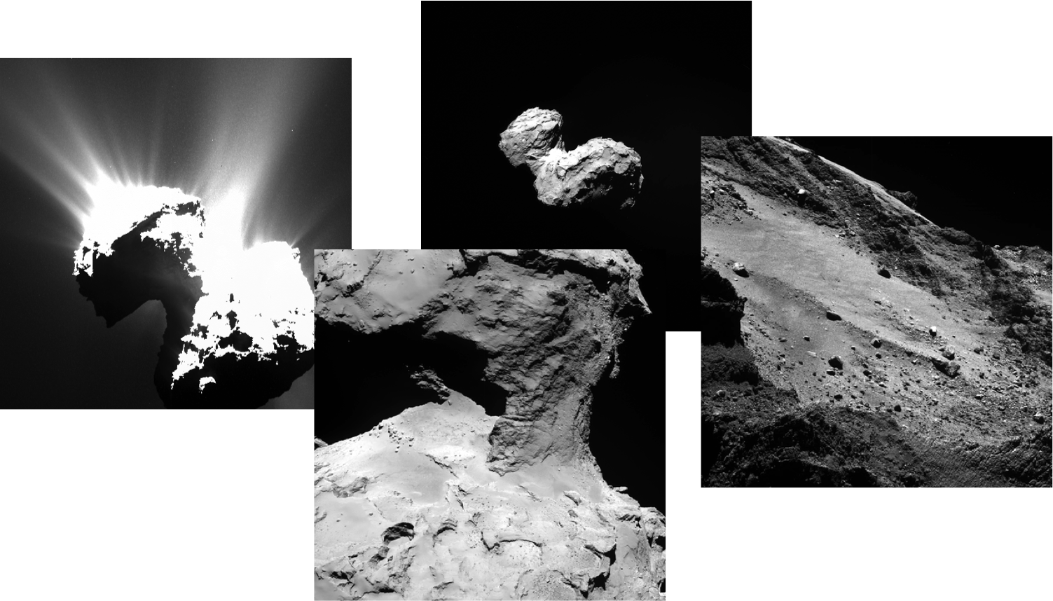 Rosetta images